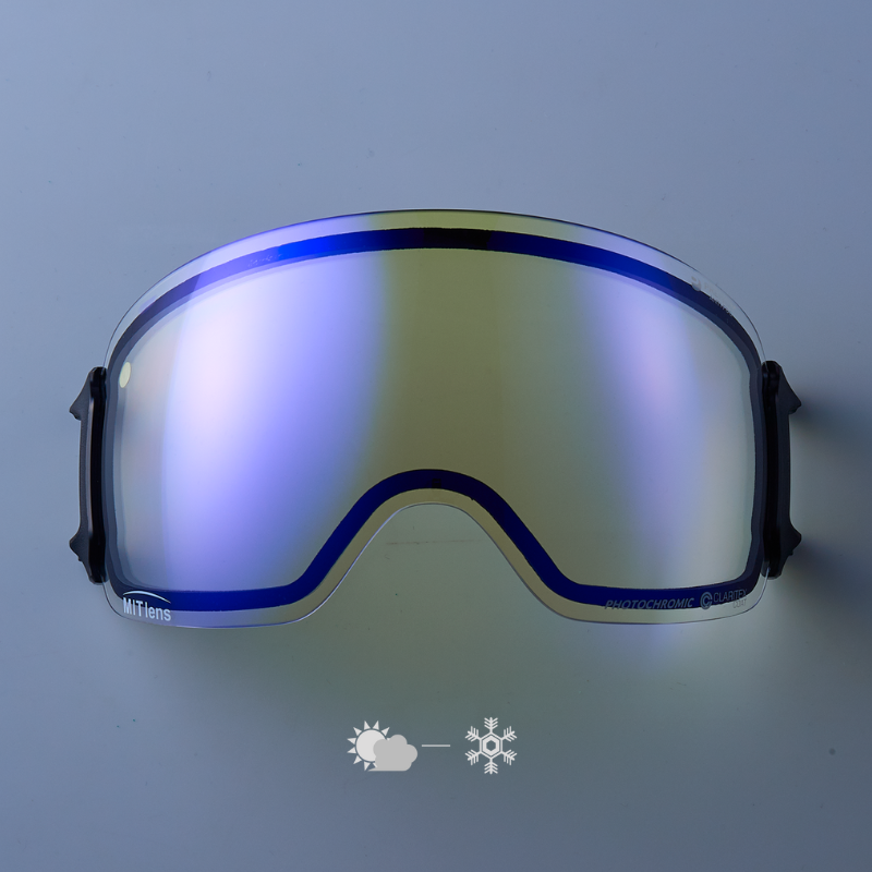 DICE snowboarding goggles | ダイススノーボーディングゴーグル 