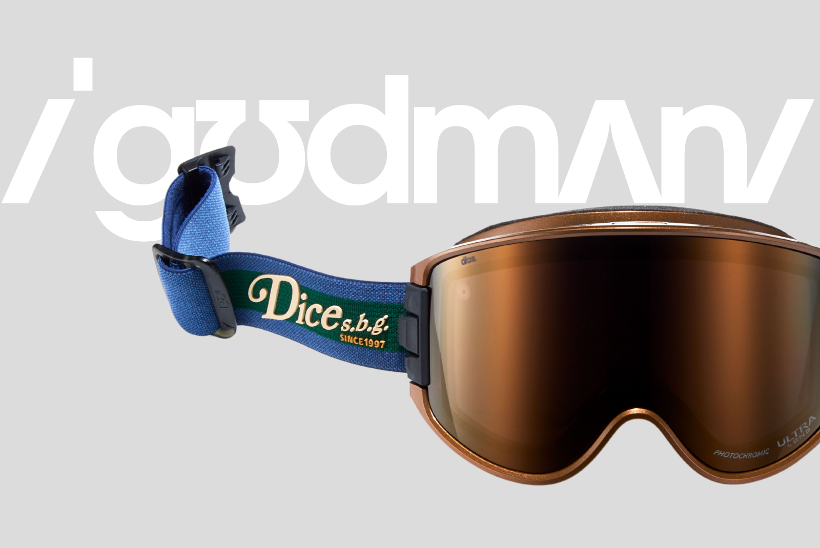 DICE snowboarding goggles | ダイススノーボーディングゴーグル