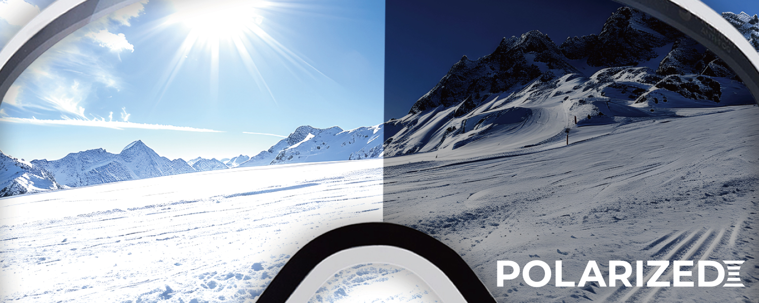 POLARIZED
