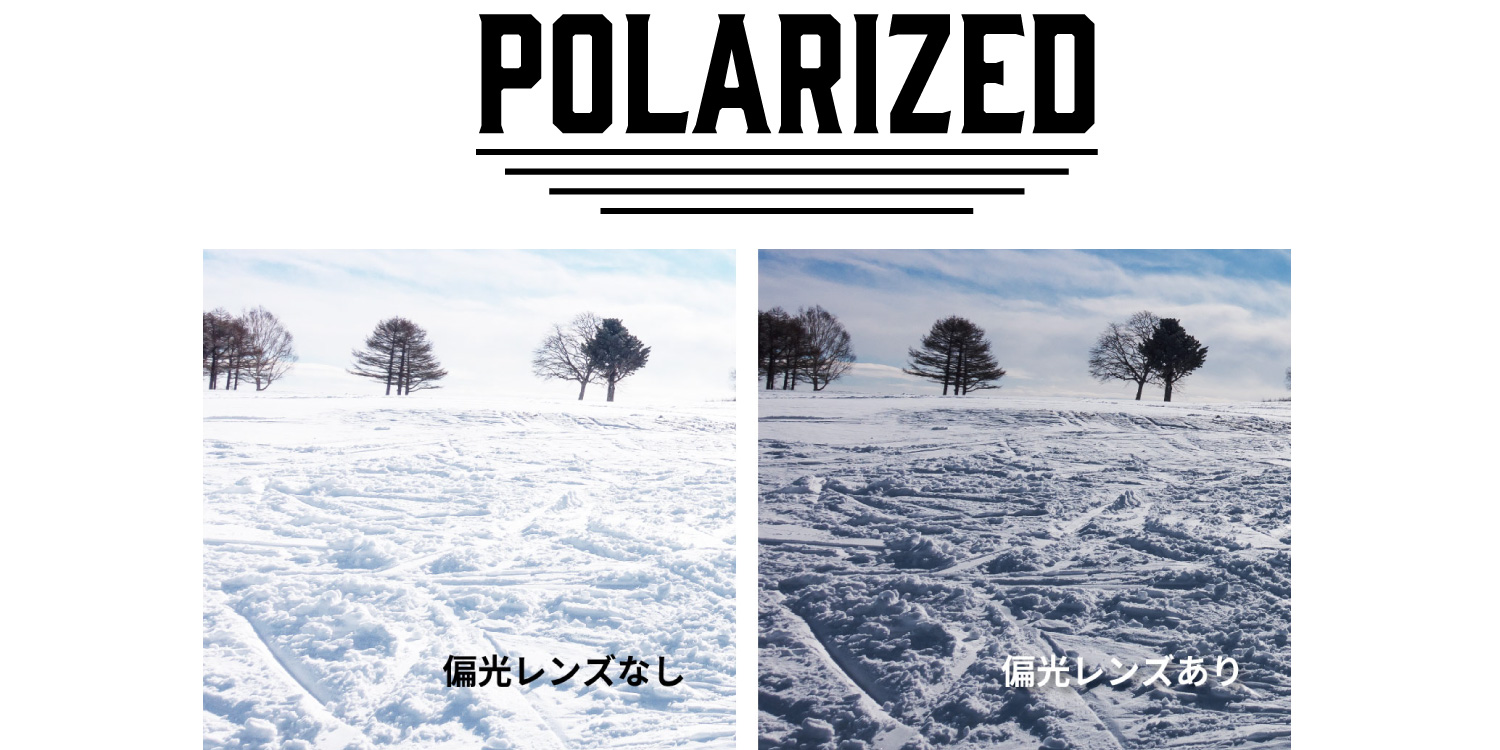 POLARIZED